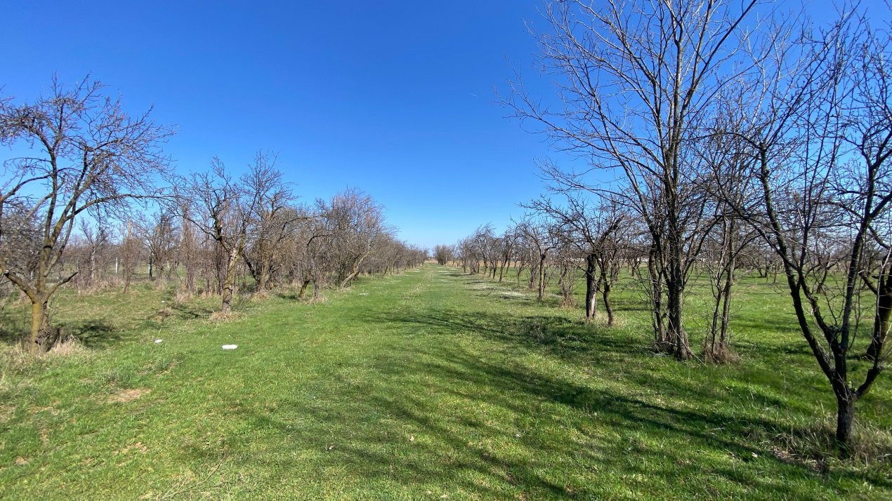 Teren Intravilan 3470 MP - Bradu - Toate utilitatile -