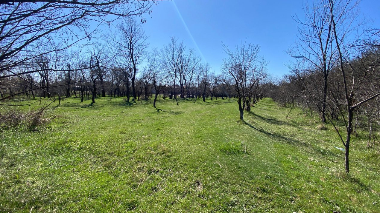 Teren Intravilan 3470 MP - Bradu - Toate utilitatile -
