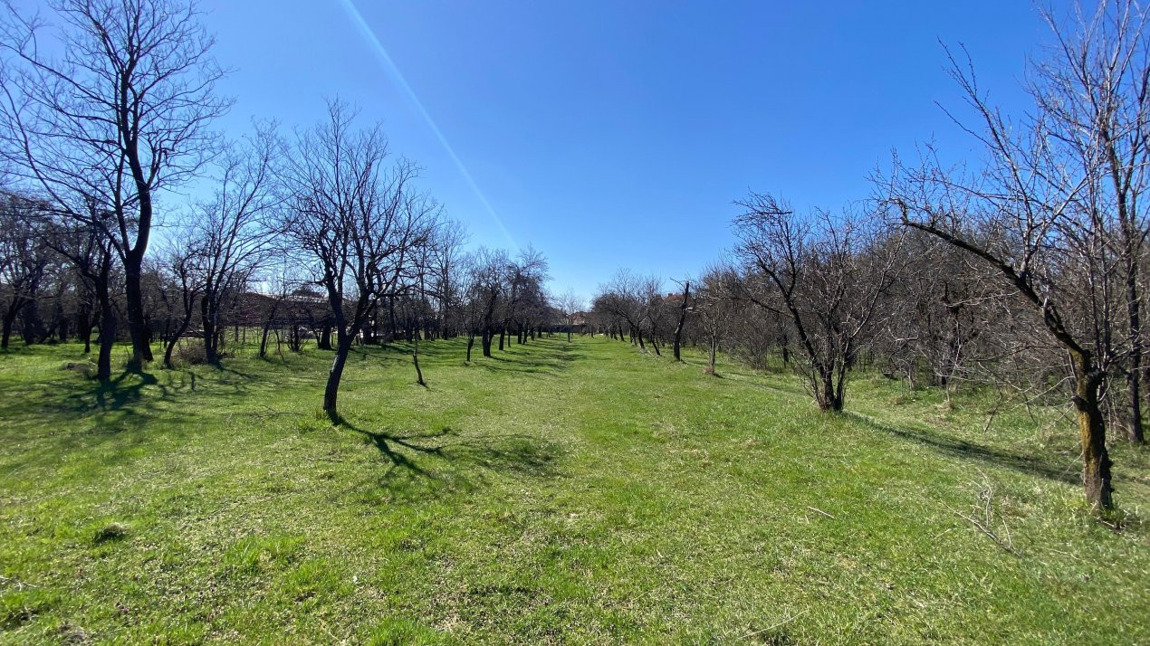 Teren Intravilan 3470 MP - Bradu - Toate utilitatile -