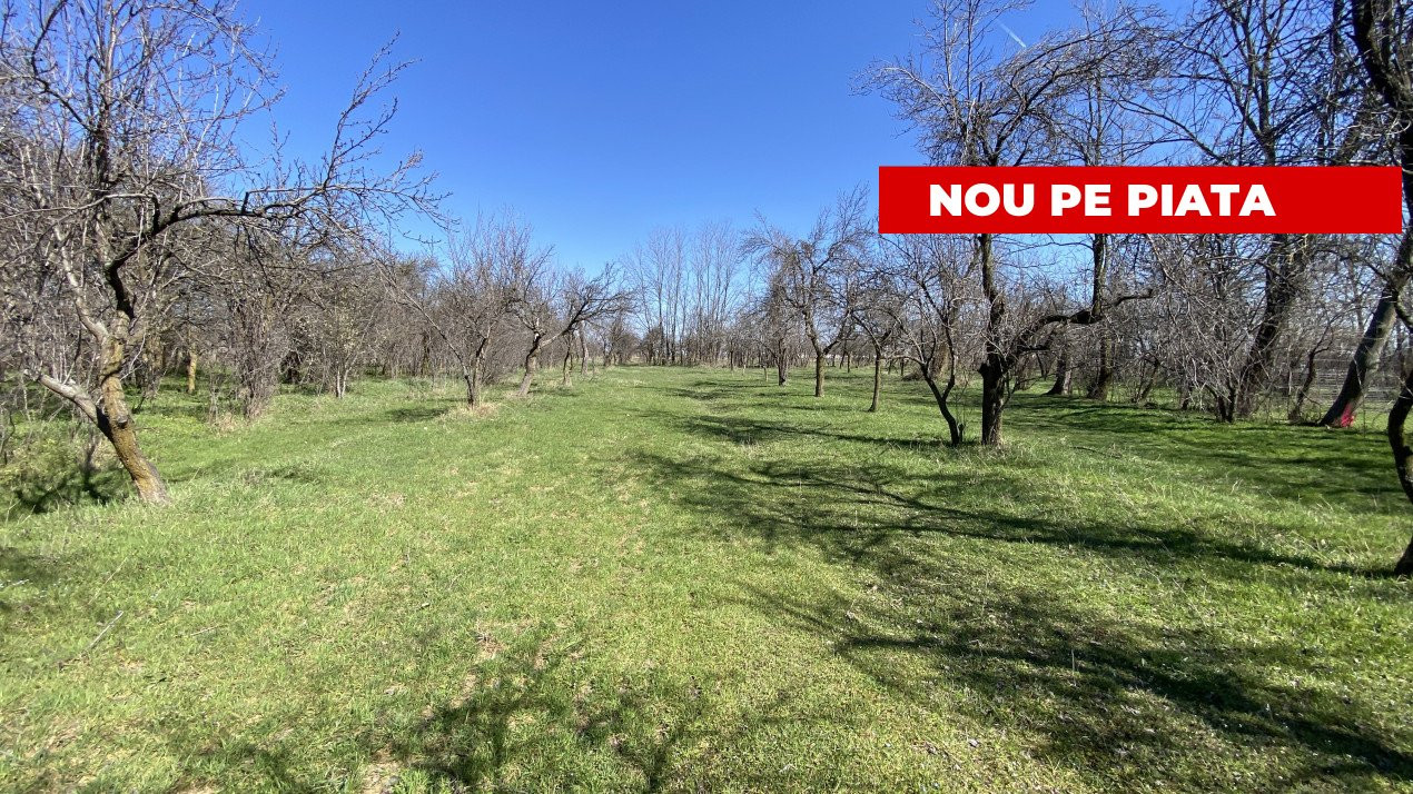 Teren Intravilan 3470 MP - Bradu, Arges - Toate utilitatile-0% COMISION 
