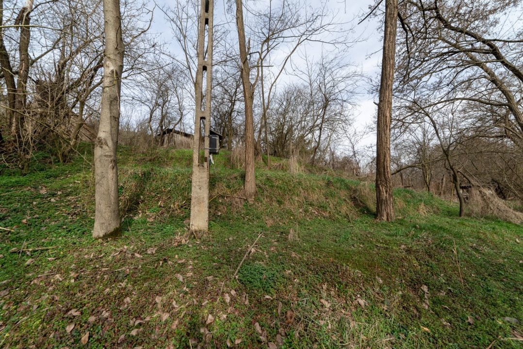 Teren de vânzare – 1221 mp în Budeasa Mică, zonă liniștită.