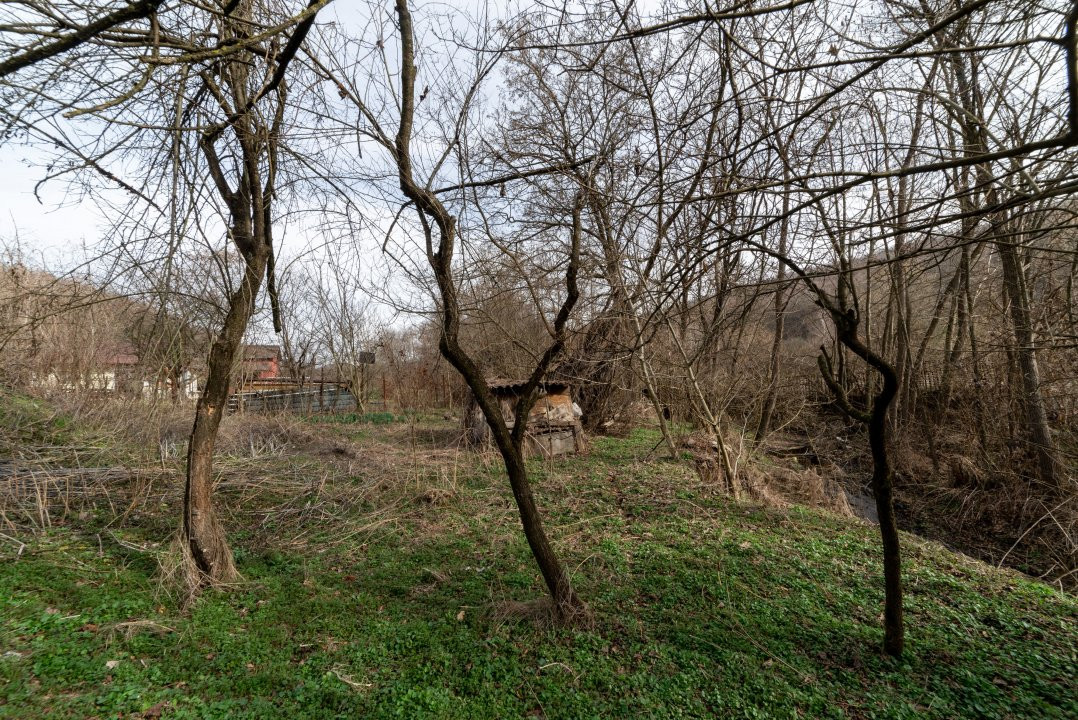 Teren de vânzare – 1221 mp în Budeasa Mică, zonă liniștită.