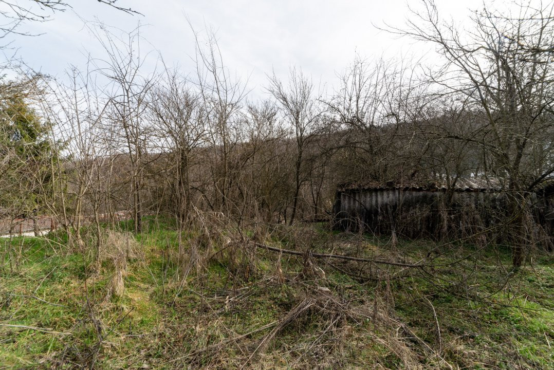 Teren de vânzare – 1221 mp în Budeasa Mică, zonă liniștită.