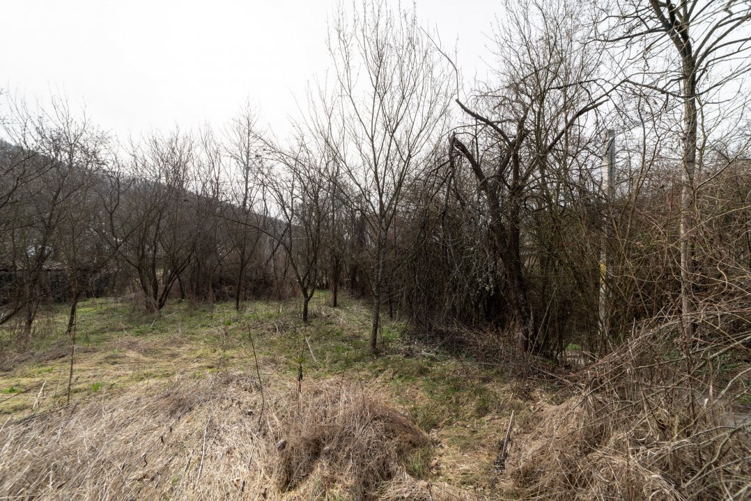 Teren de vânzare – 1221 mp în Budeasa Mică, zonă liniștită.
