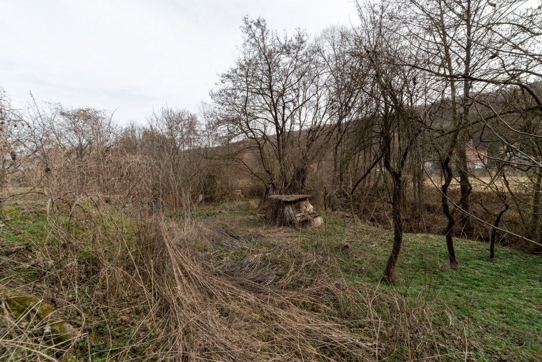 Teren de vânzare – 1221 mp în Budeasa Mică, zonă liniștită.