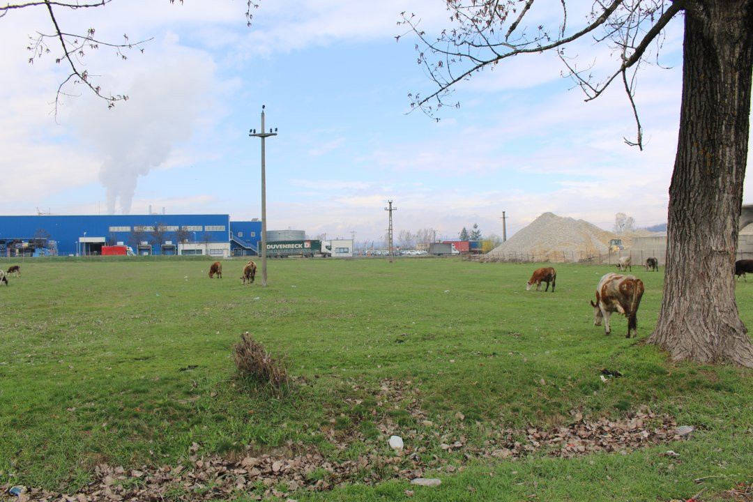 De Vânzare – Teren Intravilan în Rovinari, lângă Autoliv și Stadion