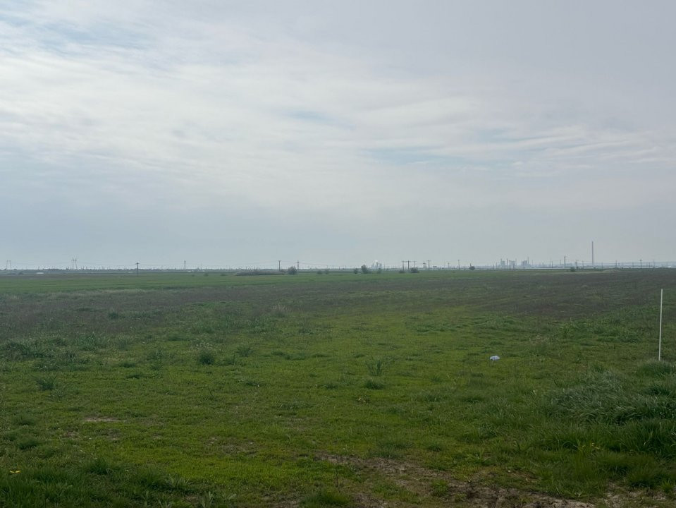 Teren extravilan de vânzare – Căteasca, Argeș | 27.201 mp | Deschidere 58,55 m