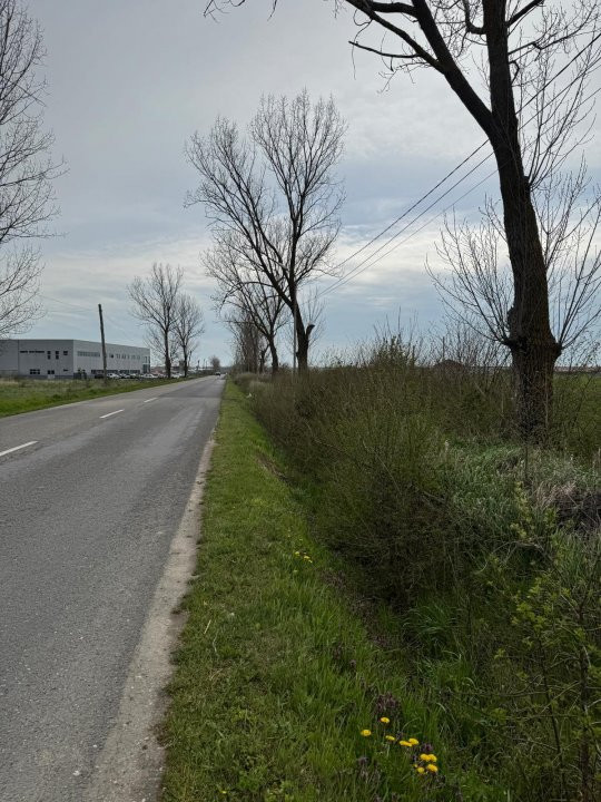 Teren extravilan de vânzare – Căteasca, Argeș | 27.201 mp | Deschidere 58,55 m