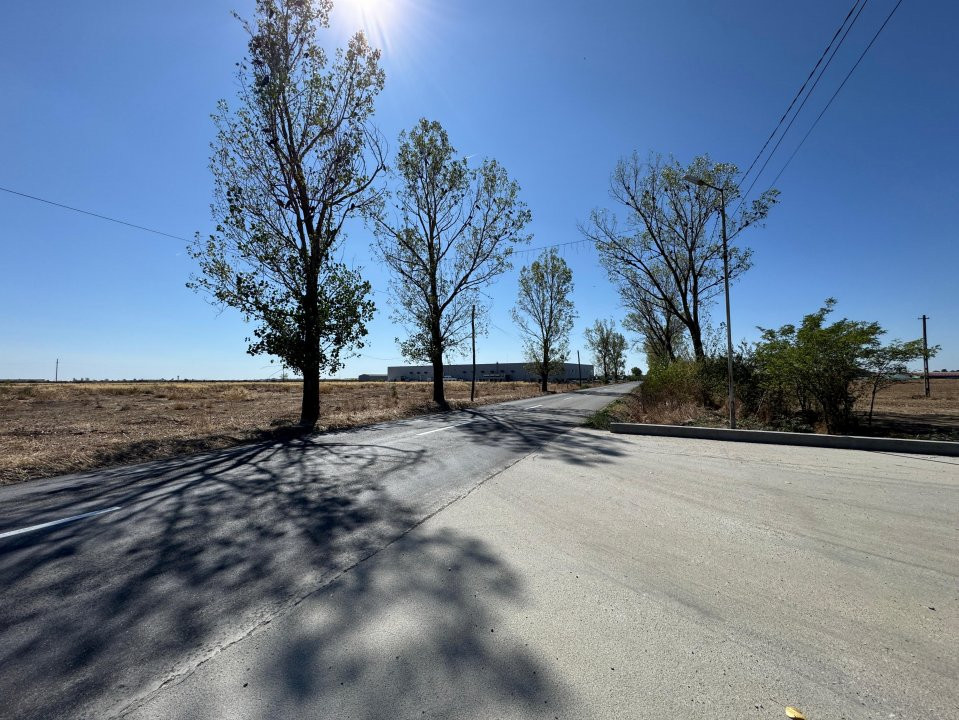 Teren extravilan de vânzare – Căteasca, Argeș | 27.201 mp | Deschidere 58,55 m