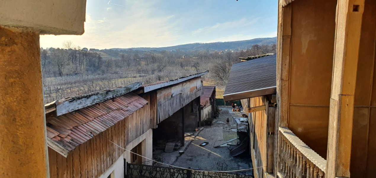 Casă / Pensiune de vânzare – Balta, Gorj 