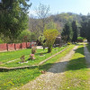 Casa de Vacanta - Un Colt de Rai , Stefanesti-Arges thumb 11