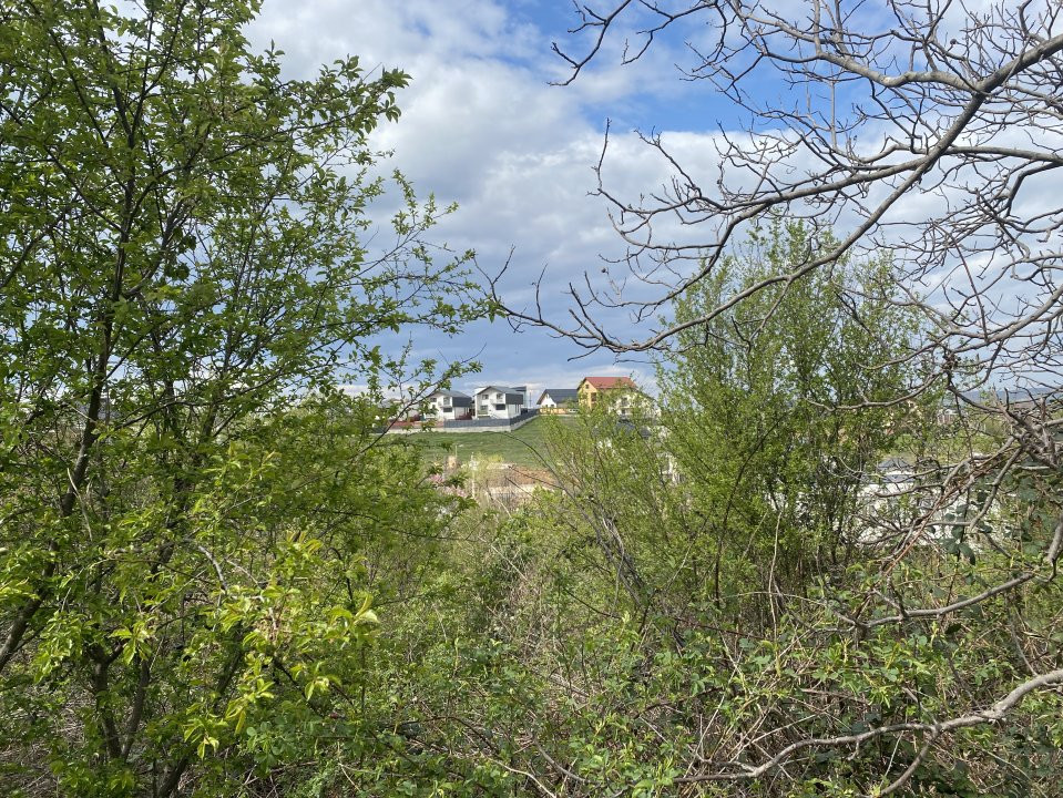 Teren intravilan 1.577 mp in Geamana, Bradu