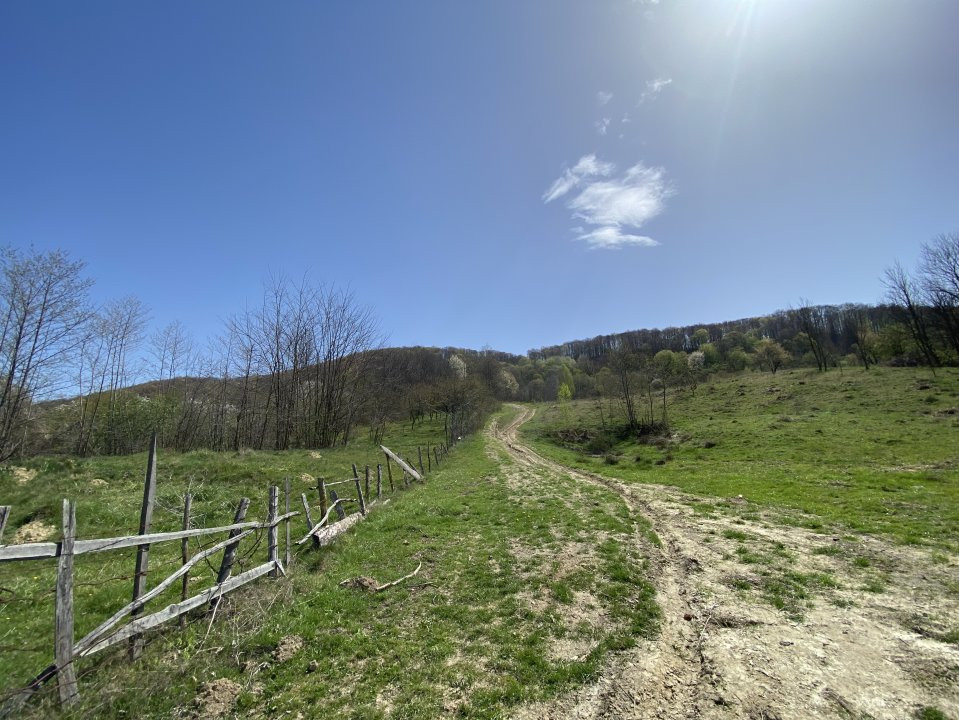 Teren 13.000 mp zona de deal - Aninoasa AG