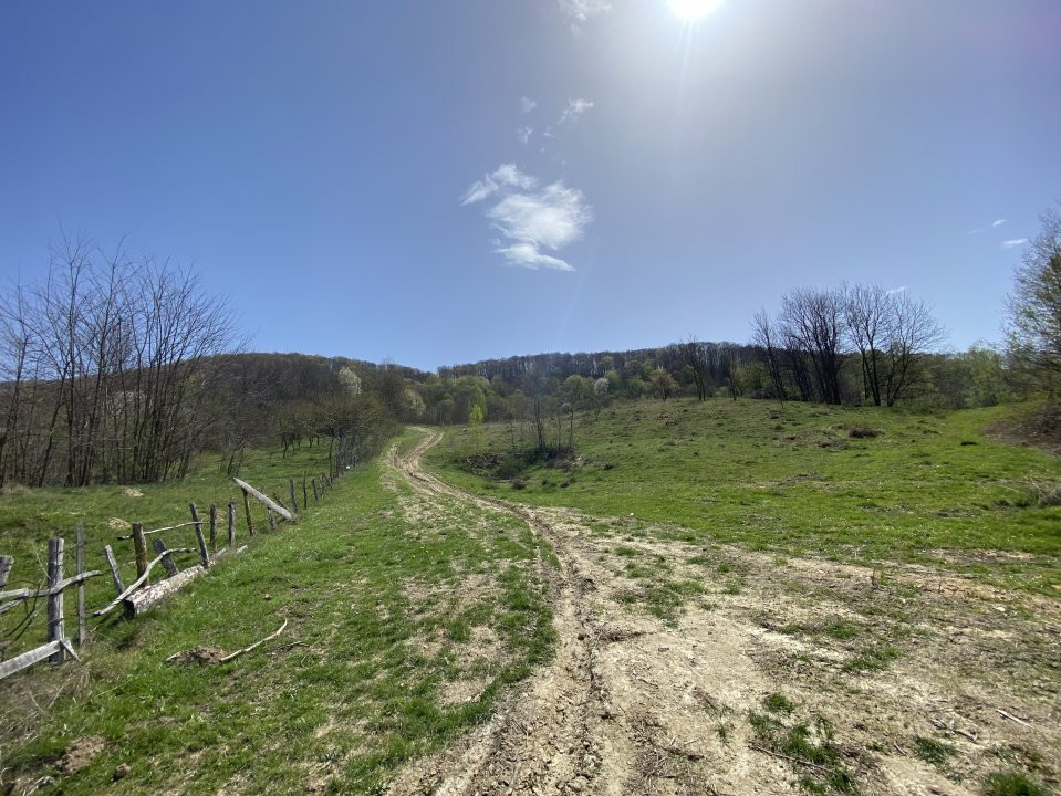 Teren 13.000 mp zona de deal - Aninoasa AG