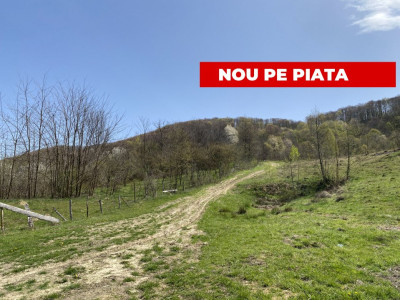 Teren 13.000 mp zona de deal - Aninoasa AG