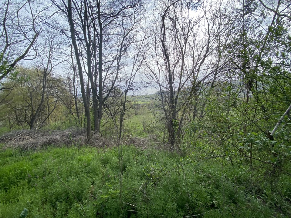 Teren intravilan 1.400 mp - Schitu Golesti AG