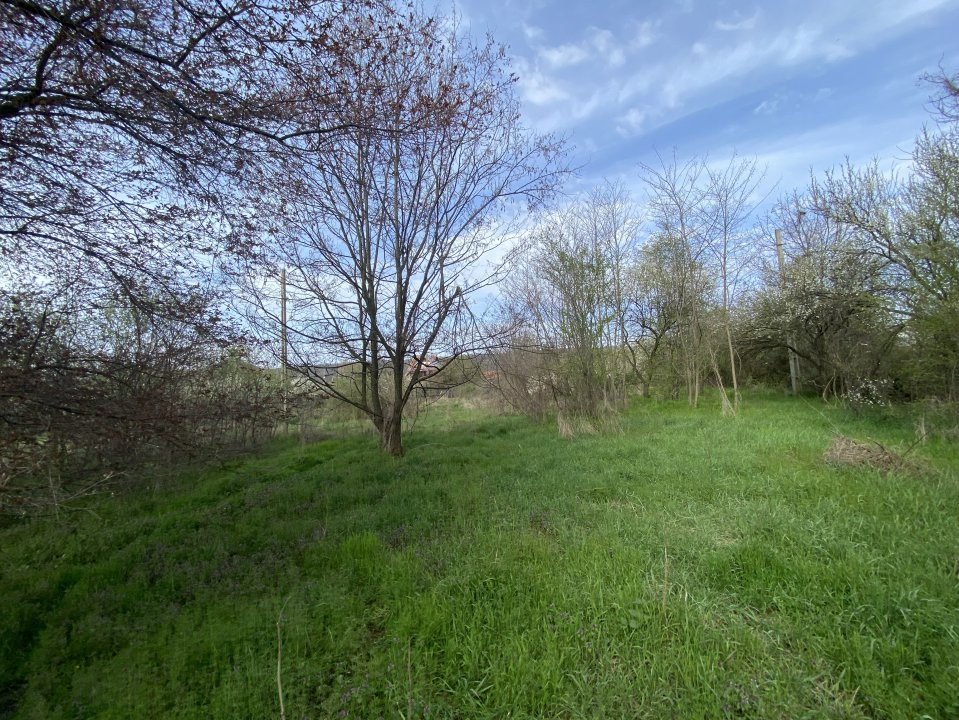 Teren intravilan 1.400 mp - Schitu Golesti AG