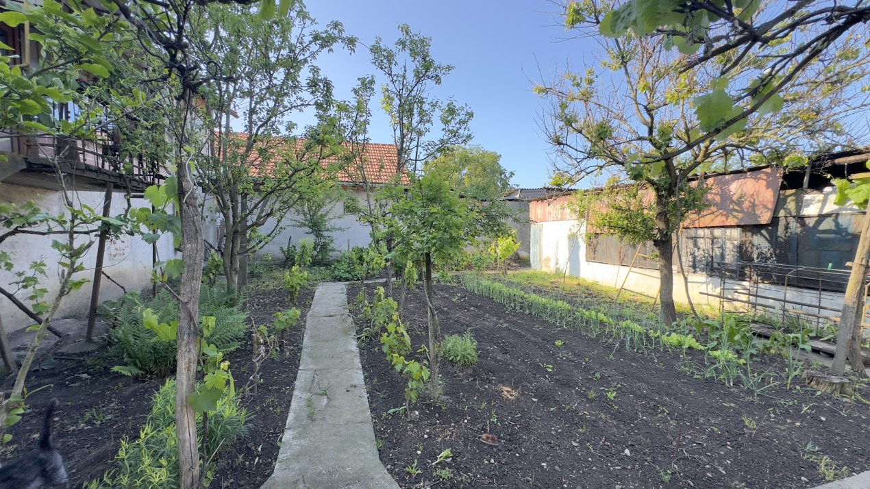 Casă 4 camere, Teren 3.862 mp Str. Traian Nr.99 - Carei - Comision 0% cumpărător