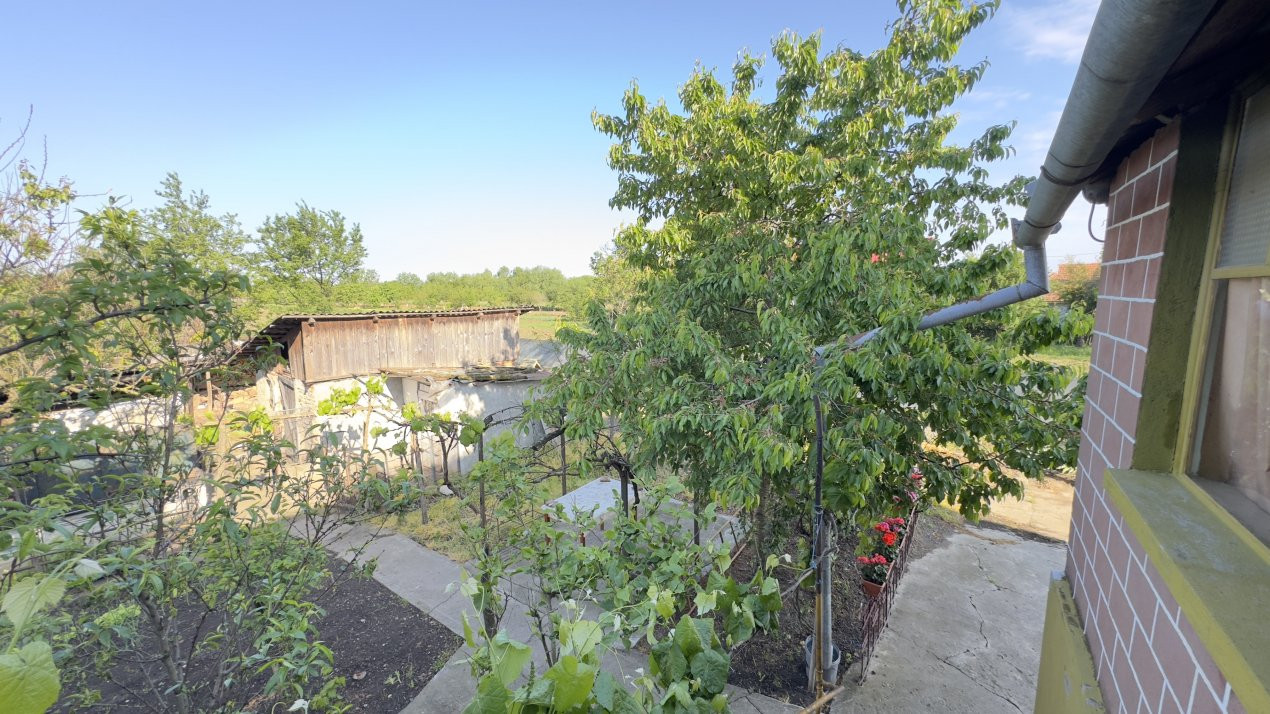 Casă 4 camere, Teren 3.862 mp Str. Traian Nr.99 - Carei - Comision 0% cumpărător