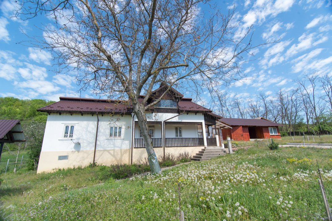 Casa cu teren 4727mp in Ciomagesti, Arges -ideala pentru locuit sau vacanta