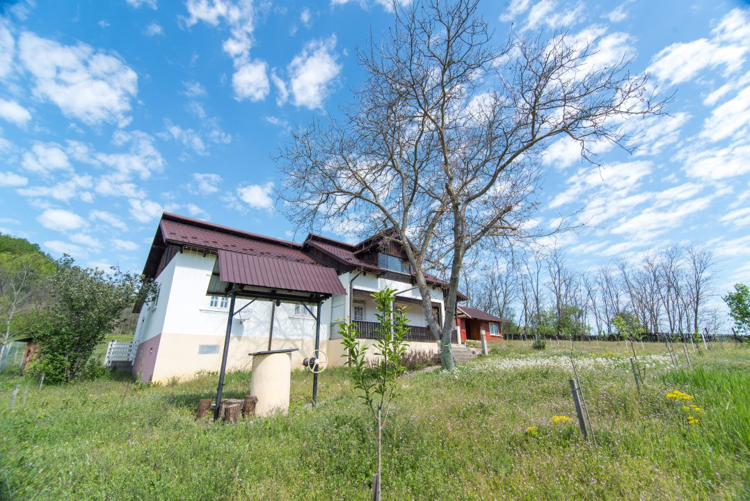Casa cu teren 4727mp in Ciomagesti, Arges -ideala pentru locuit sau vacanta