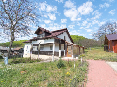 Casa cu teren 4727mp in Ciomagesti, Arges -ideala pentru locuit sau vacanta