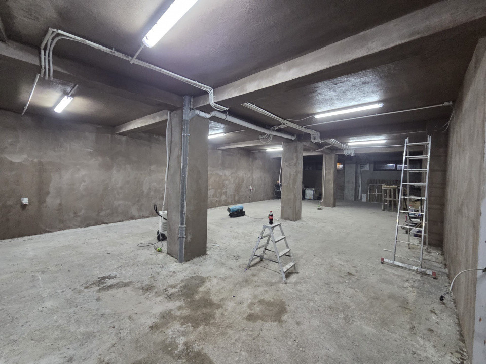 Hala / Spatiu Productie / Rezidential - Vedere catre lac