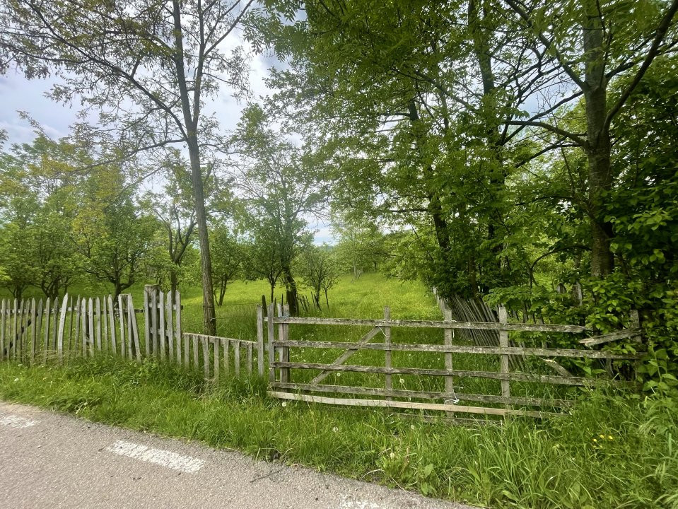 Teren intravilan Sotrile 6762 mp – Investitie, camping, agroturism