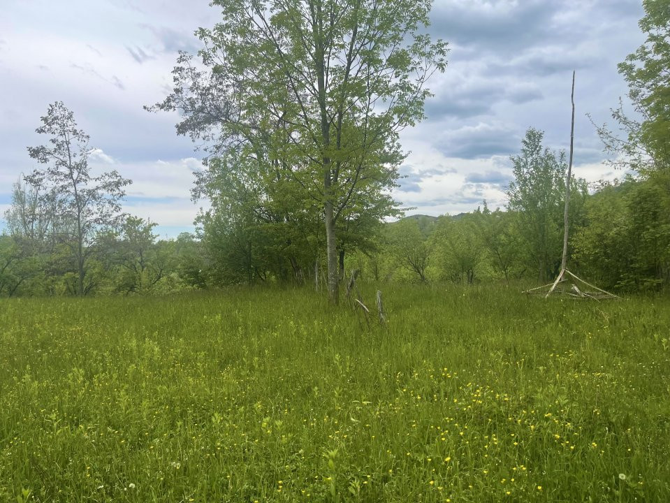 Teren intravilan Sotrile 6762 mp – Investitie, camping, agroturism