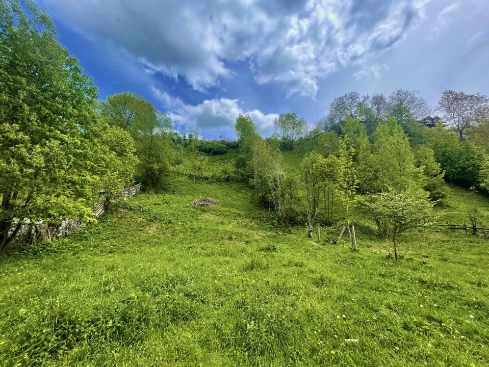 Teren intravilan Traisteni 839 mp, toate avizele
