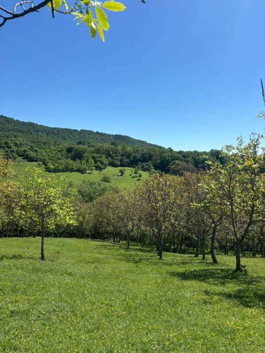 Teren 12.225 mp - Aranghel, jud. Valcea
