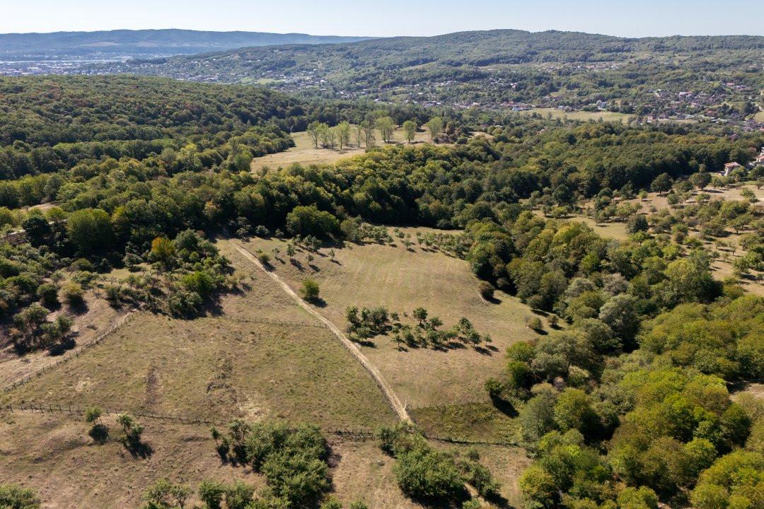 Terenuri 12.225 mp - Aranghel, jud. Valcea