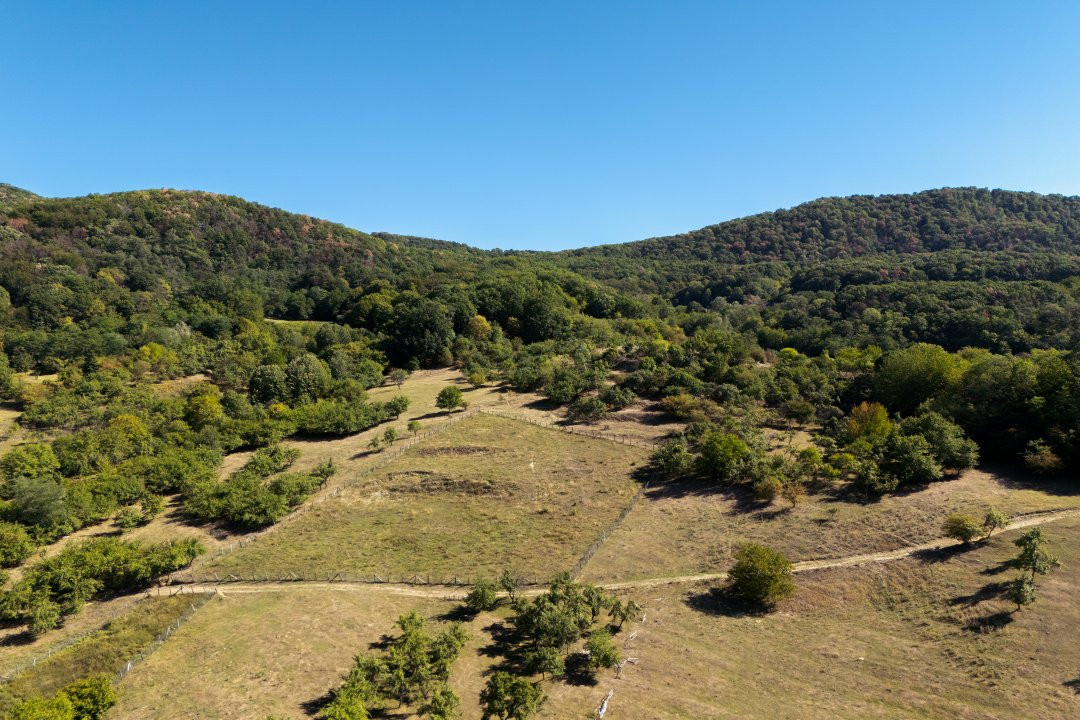 Terenuri 12.225 mp - Aranghel, jud. Valcea