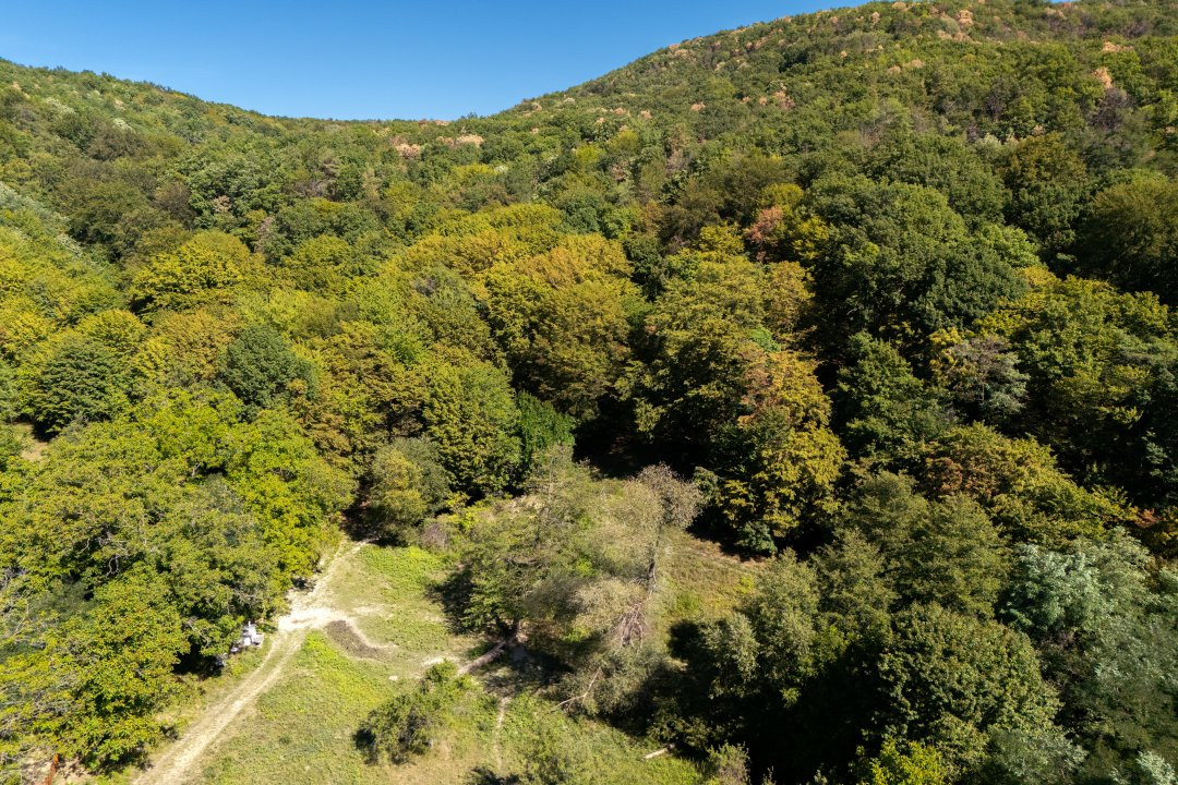 Terenuri 12.225 mp - Aranghel, jud. Valcea