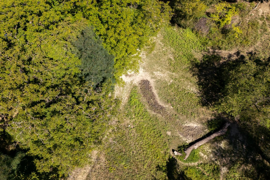 Terenuri 12.225 mp - Aranghel, jud. Valcea