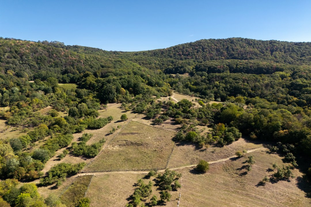 Terenuri 12.225 mp - Aranghel, jud. Valcea
