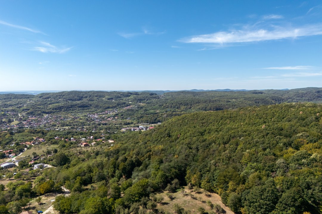 Terenuri 12.225 mp - Aranghel, jud. Valcea