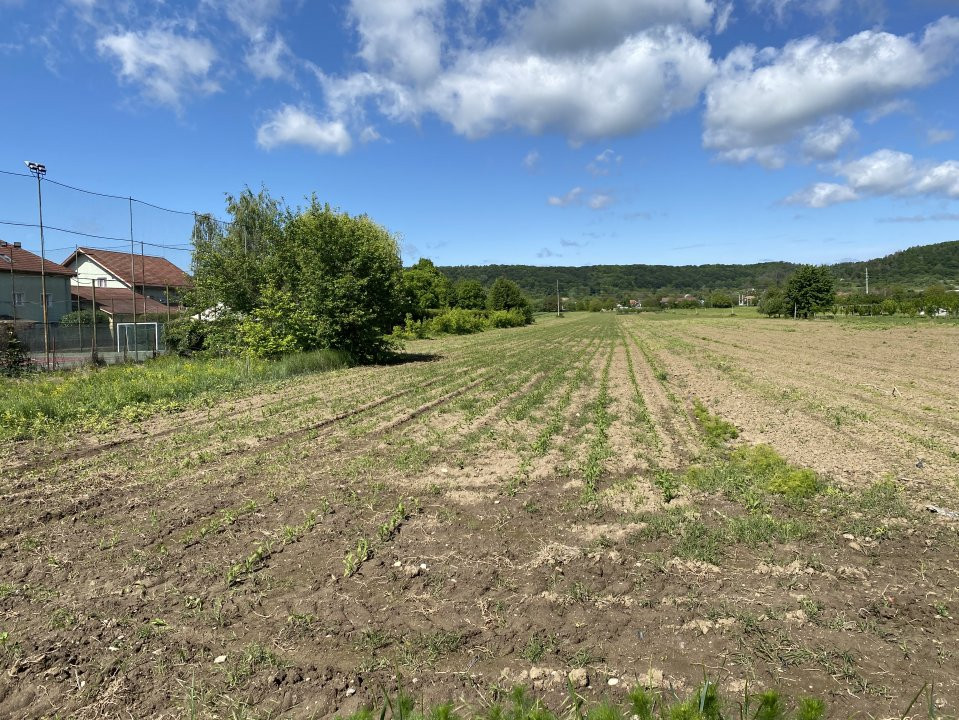 Teren intravilan 7.295 mp – Argeselu, Maracineni, AG