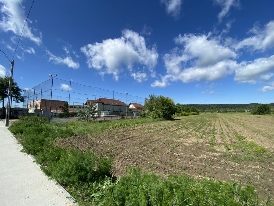 Teren intravilan 7.295 mp – Argeselu, Maracineni, AG