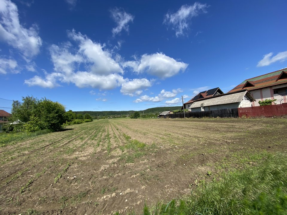 Teren intravilan 7.295 mp – Argeselu, Maracineni, AG
