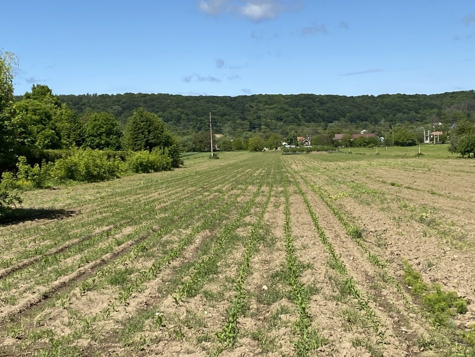 Teren intravilan 7.295 mp – Argeselu, Maracineni, AG
