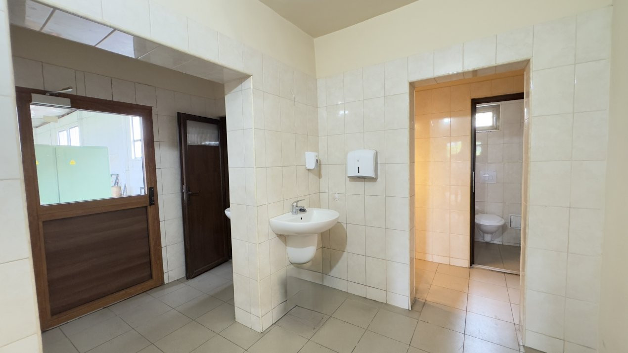  Clădire Industrială Hală Producție, Depozitare, Birouri-Teren 3140 mp - Carei  