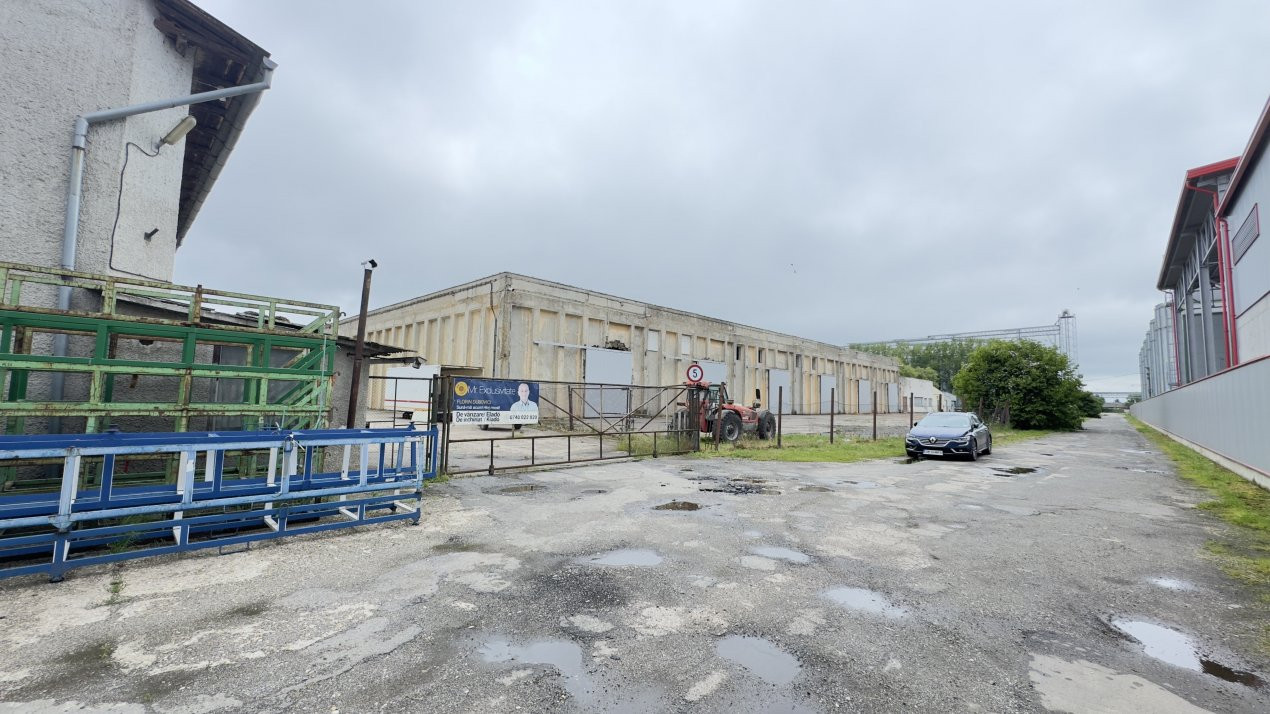  Clădire Industrială Hală Producție, Depozitare, Birouri-Teren 3140 mp - Carei  