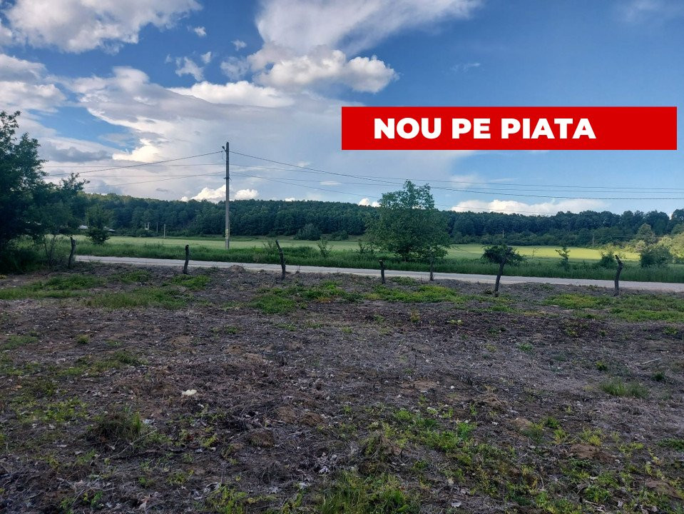 Teren Cerbu - Albota - cu PROIECT CASA si AVIZE 