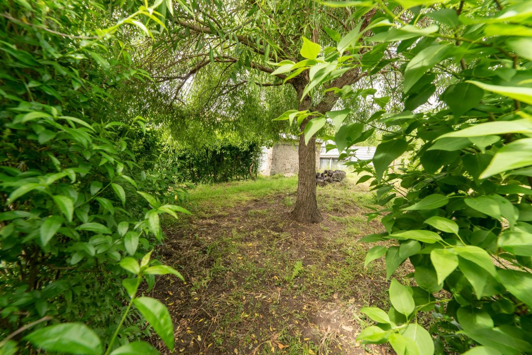Casa la tara - Com. Ratesti, sat Nejlovelu - la 30 km de Pitesti