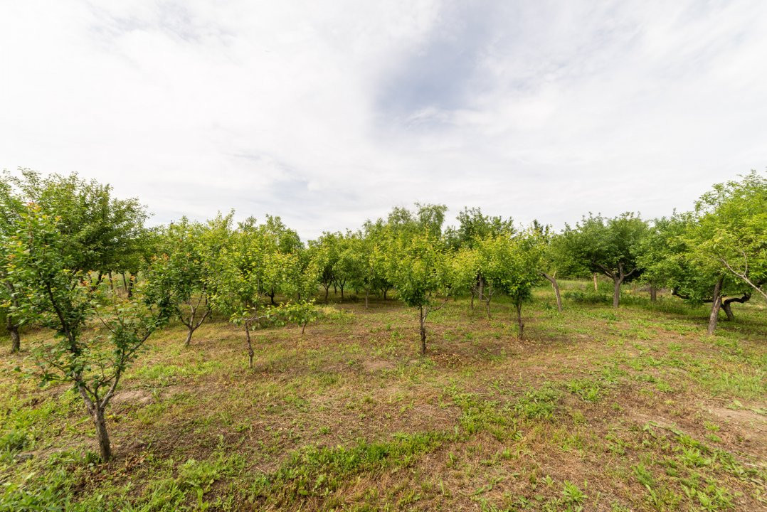 Casa la tara - Com. Ratesti, sat Nejlovelu - la 30 km de Pitesti