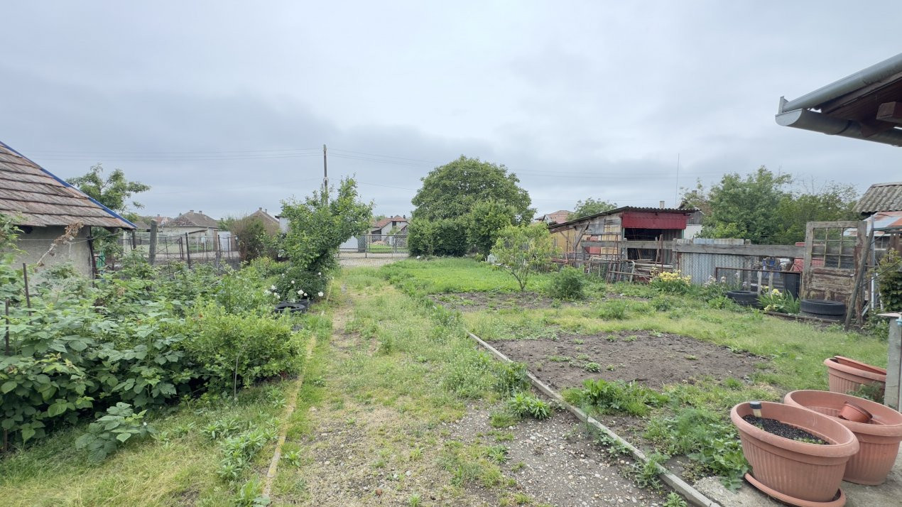 Casă 6 camere, Teren 891 mp, 2 Fronturi - Loc. Cămin SM - Comision 0% cumpărător