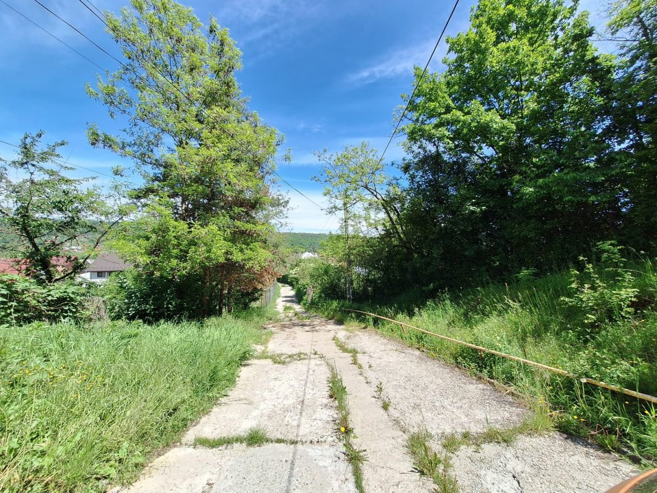 Casa Valea Ursului pentru azil de batrani, sau after school