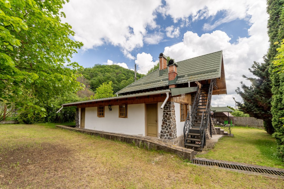Colț de Rai -Casă de vacanță cu Pădure-Livadă și Râu -Jud.Argeș!