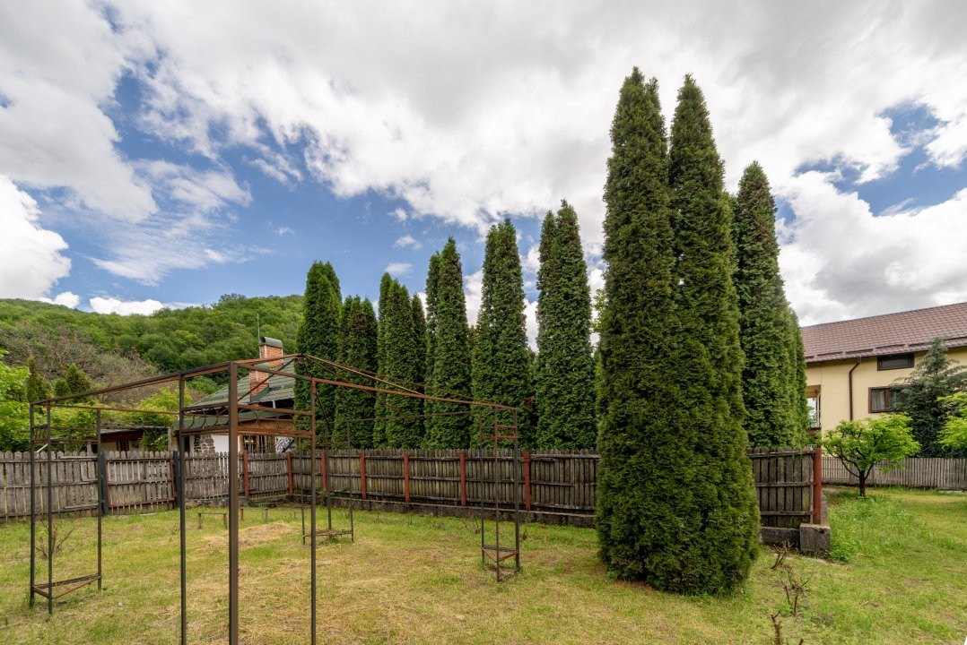 Colț de Rai -Casă de vacanță cu Pădure-Livadă și Râu -Jud.Argeș!